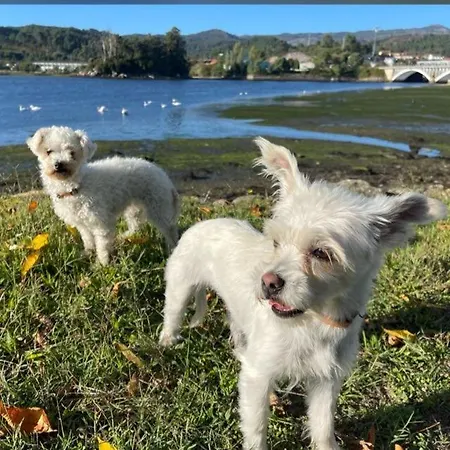 Lolaredondela Appartamento *